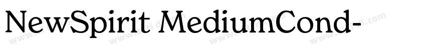 NewSpirit MediumCond字体转换